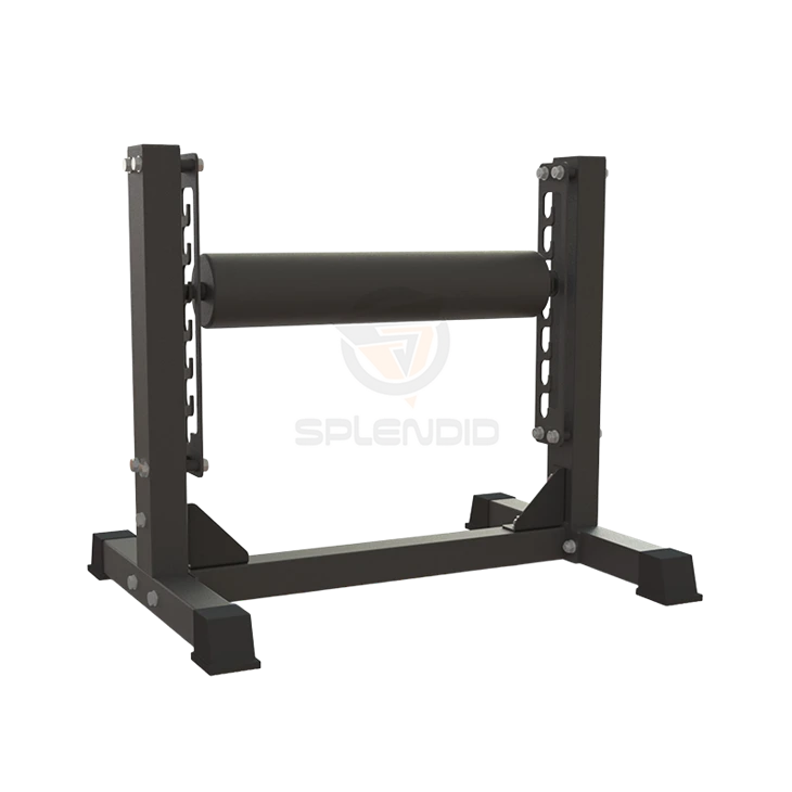 Single Leg Squat Roller